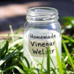 vinegar weed killer recipe